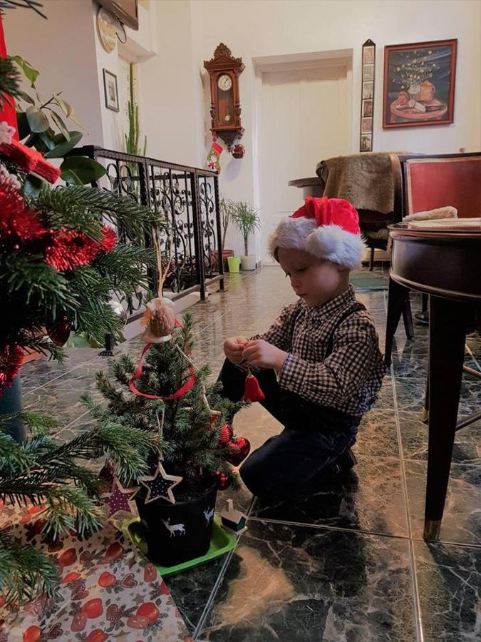 Pension Casa Leone Timișoara Zewnętrze zdjęcie